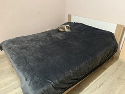 Плед Ardesto Flannel 200x220 см 100% поліестер Темно-сірий (ART0213SB) фото від покупців 1