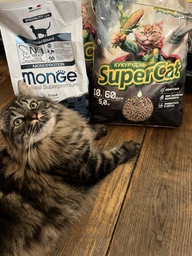 Наповнювач для котів кукурудзяний SuperCat 5л фото від покупців 4