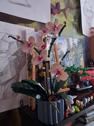 Конструктор цветы Орхидея в горшке Botanic Orchid на 608 деталей фото от покупателей 1