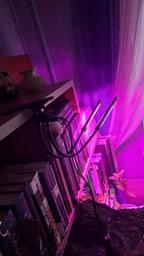 Фитолампа на 2 лампы светодиодная LED для роста растений на прищепке фитосветильник для комнатных цветов, рассады, орхидей фито лампа фото от покупателей 5