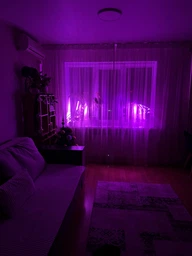 Фитолампа светодиодная LED Plant Grow Light на 4 лампы для роста растений на прищепке фитосветильник для комнатных цветов, рассады фото от покупателей 11