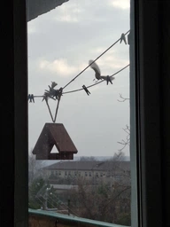 Кормушка для птиц подвесная House_for_birds "Радуга" дерево фото от покупателей 4