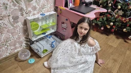Клетка для хомяков и грызунов Ferplast Olimpia 46х29.5х54 см с игровой зоной (57922599) фото от покупателей 4