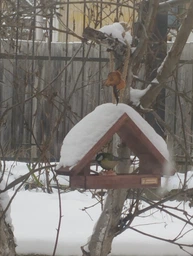 Кормушка для птиц подвесная House_for_birds "Радуга" дерево фото от покупателей 3