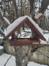 Кормушка для птиц подвесная House_for_birds "Радуга" дерево фото от покупателей 2