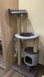 Устойчивая когтеточка для котиков, кошки с домиком гамаком 140*60*50см