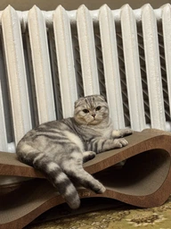 Кігтеточка з картону посиленого з дерев'яним фасадом Cat Joy Loft Brown 70x22x29 см (870500002)