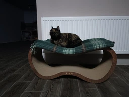 Кігтеточка з картону посиленого з дерев'яним фасадом Cat Joy Fusion Brown XXL 84х36х29 см
