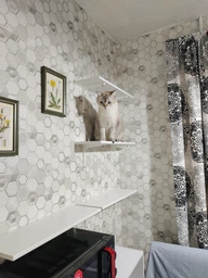 Полиця навісна IKEA BURHULT / SIBBHULT, білий, білий, 59 х 20 см, 893.259.63