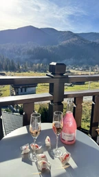 Вино игристое J.P. Chenet Ice Edition Rose Demi Sec розовое полусухое 0.75 л 10-13.5% (3500610093708)