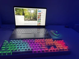 Мышь игровая RZTK Bifrost Rainbow Dark фото от покупателей 2