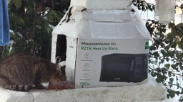 Микроволновая печь RZTK Heat Up 700 Black (СВЧ) фото от покупателей 6