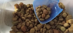 Сухой полнорационный корм для взрослых собак Purina Friskies с курицей и овощами 10 кг