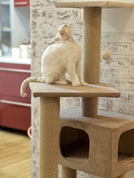 Домик когтеточка для кота дряпка для кошки Мур-Мяу Алиса-2 70 x 70 x 138 см в джутовой веревке Коричнево-Бежевый МТ фото от покупателей 6