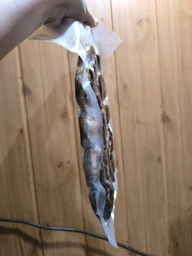 Вакууматор для продуктів машина для вакуумування та зварювання пакетів Vacuum Sealer фото від покупців 1