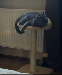 Когтеточка Lucky Pet Прана, серый, 33х33х50см