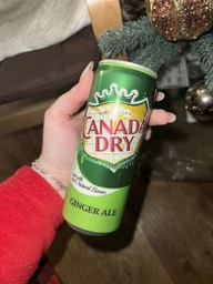 Упаковка безалкогольного напою Dr Pepper Canada Dry Ginger Ale 0.33 л х 24 банки (8435185954947)