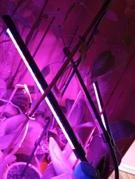 Фитолампа светодиодная LED лампа для роста растений на прищепке фитосветильник на 4 лампы для комнатных цветов рассады орхидей фито лампа фото от покупателей 2