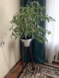 Підставка для вазонів WoodDecor косонога висока бук 210x880x500 мм Білий фото від покупців 1
