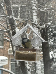 Кормушка для птиц на окно House_for_birds "Теремок" фото от покупателей 1