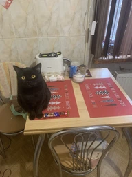 Упаковка влажного корма для кошек Purina Gourmet Gold Паштет с индейкой 24 шт по 85 г
