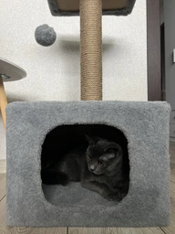 Домик когтеточка для кота дряпка для кошки Мур-Мяу КотэДж 34х34х67 см в джутовой веревке Коричнево-бежевый МТК фото от покупателей 5
