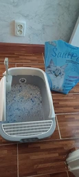 Лоток (туалет) для котів CAT IN BOX з лопаткою 43х30х18 см сірий