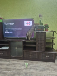 Телевiзор Thomson Android TV 65" QLED 65QA2S13 фото від покупців 1