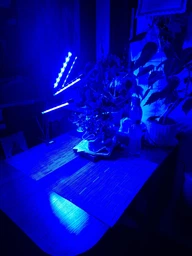 Фитолампа светодиодная LED Plant Grow Light на 4 лампы для роста растений на прищепке фитосветильник для комнатных цветов, рассады фото от покупателей 7