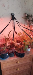Фитолампа светодиодная LED Plant Grow Light на 4 лампы для роста растений на прищепке фитосветильник для комнатных цветов, рассады фото от покупателей 6