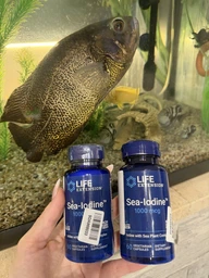 Йод у капсулах Life Extension Sea-Iodine 1000 mcg 60 капсул