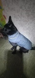 Пуховик Noble Pet Bobby Navy B4118/4XL (00001717) фото от покупателей 1