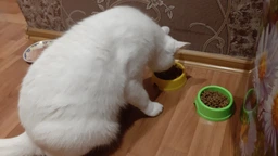 Сухой корм для кошек Purina One Steril Cat Salmon & Wheat 200 г (7613034765239) фото от покупателей 1