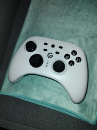 Беспроводной геймпад GamePro GPX13W 2.4G/BT 5.1/USB (Switch/PC/iOS/Android) RGB White фото от покупателей 2