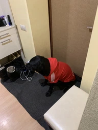 Толстовка для собак Adidog 2XL Синий фото от покупателей 7