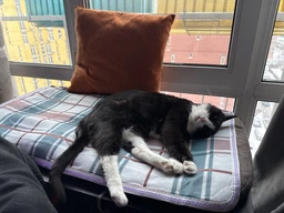 Электрическая грелка Electric Blanket 80х50 см Турция, серая, арт.8050 фото от покупателей 1