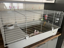 Клетка для кроликов и морских свинок Ferplast Rabbit 100 95х57х46 см Белая (57052370)