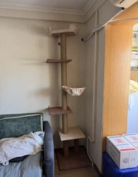Когтеточка для кота дряпка Мур-Мяу Дана 50х50х210см для кошек в джутовой веревке Коричнево-бежевый МТ фото от покупателей 8