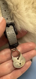 Адресник для Котов BronzeDog из Нержавеющей Стали Довольный Котик Серебристый 20*19 мм (90361) фото от покупателей 2