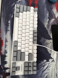 Клавиатура проводная GamePro Genesis Metallic MK110G Outemu Red Switch USB Gray (MK110G) фото от покупателей 10