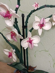 Конструктор Орхидея 608 деталей Ботаническая коллекция Набор Botanical Orchid Оригинальный подарок девушке и маме конструктор цветы фото от покупателей 4