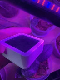 Термометр гигрометр Wifi Nectronix комнатный с датчиком температуры и влажности TG-12w, приложение Tuya для Android & IOS (eg-100745)