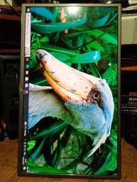 Підсвічування для телевізора LG 32 Innotek DRT 3.0 32 "(6 LED 6V DRT3.0 32") фото від покупців 1
