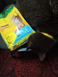 Сухий корм Friskies для дорослих кішок з лососем та овочами 300 (г) фото від покупців 3