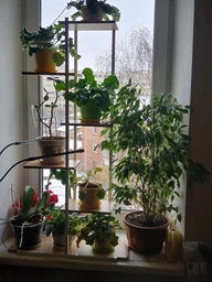 Подставка для цветов металлическая 6-ярусная 113 см 113x60x20см біло-коричнева SZ16B фото от покупателей 1