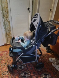 Прогулянкова коляска Lionelo EMMA PLUS CORAL PINK