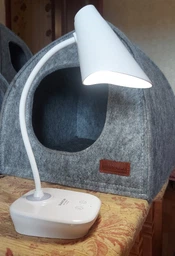 Настольная лампа Quantum ASCONA QM-TL1030 LED 3W 200lm 4000К USB 5V с аккумулятором