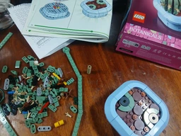 Конструктор LEGO Botanicals Цветение кактуса 482 детали (11509)