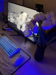 Игровая поверхность WorkPlaceShop Asia Черная волна в Канагаве 300х500 мм фото от покупателей 1