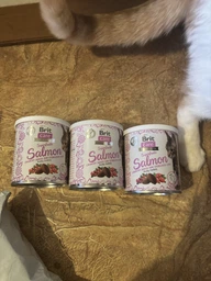 Лакомство для кошек Brit Care Cat Snack Superfruits Salmon лосось 100 г (8595602521449) фото от покупателей 2